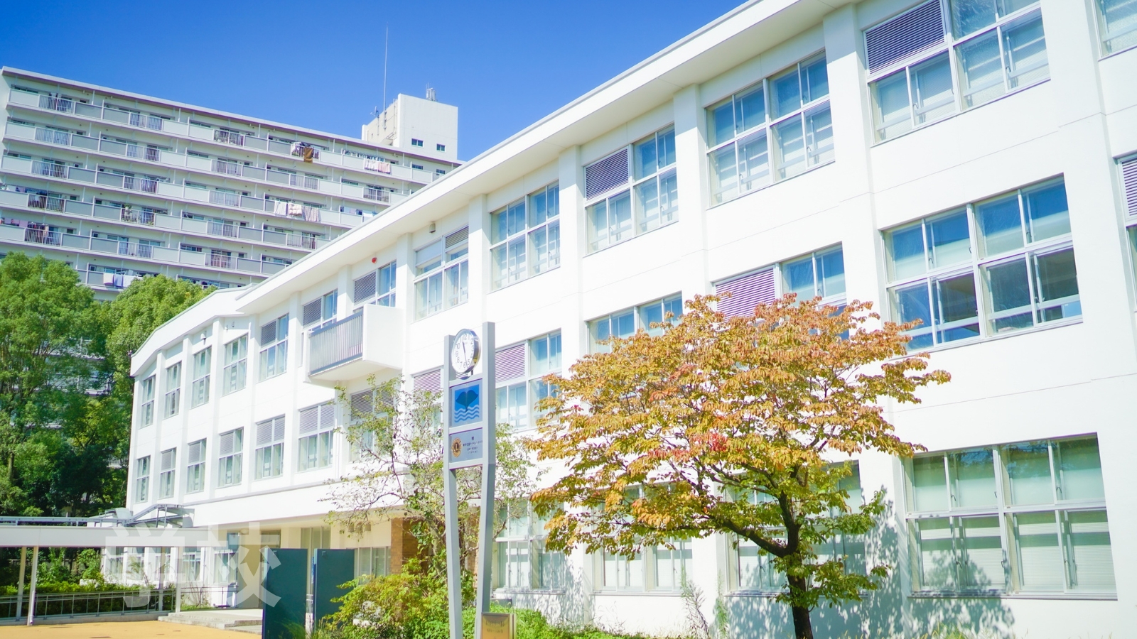 学校法人・私立学校